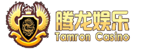 腾龙公司在线客服【tl0666.com】